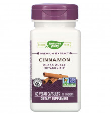 Nature's Way, Cinnamon, Standardized, 60 Veg Capsules