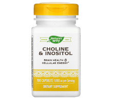 Nature's Way, Choline & Inositol, 500 mg, 100 Capsules