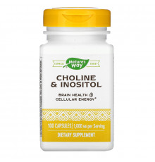 Nature's Way, Choline & Inositol, 500 mg, 100 Capsules