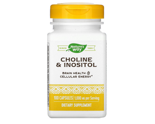 Nature's Way, Choline & Inositol, 500 mg, 100 Capsules Nature's Way, Choline & Inositol, 500 mg, 100 Capsules