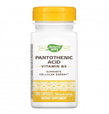 Nature's Way, Pantothenic Acid, 250 mg, 100 Capsules