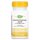 Nature's Way, Pantothenic Acid, 250 mg, 100 Capsules