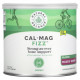 Для мышц и суставов Natural Balance, Cal-Mag Fizz, смесь ягод, 492 г (17,4 унции)