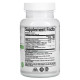 Arthur Andrew Medical Syntol AMD Advanced Microflora Delivery 90 Capsules