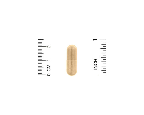 California Gold Nutrition New Zealand Green-Lipped Mussel Plus Ginger 500 mg 240 Veggie Caps California Gold Nutrition New Zealand Green-Lipped Mussel Plus Ginger 500 mg 240 Veggie Caps