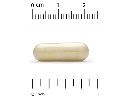 California Gold Nutrition Royal Jelly 500 mg 30 Veggie Caps California Gold Nutrition Royal Jelly 500 mg 30 Veggie Caps