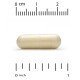 California Gold Nutrition Royal Jelly 500 mg 30 Veggie Caps