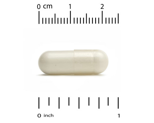 California Gold Nutrition, Пробиотики LactoBif Pet, 5 миллиардов КОЕ, 60 овощных капсул California Gold Nutrition, Пробиотики LactoBif Pet, 5 миллиардов КОЕ, 60 овощных капсул
