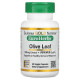California Gold Nutrition, Оливковые листья XT EuroHerbs 500 mg, VC EM, 60 карат