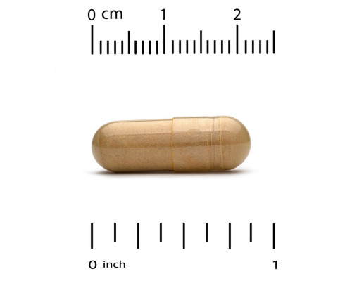 California Gold Nutrition, Silymarin Complex, Liver Health, Milk Thistle, Curcumin, Artichoke, Dandelion, Ginger, Black Pepper, 360 Veggie Capsules California Gold Nutrition, Silymarin Complex, Liver Health, Milk Thistle, Curcumin, Artichoke, Dandelion, Ginger, Black Pepper, 360 Veggie Capsules