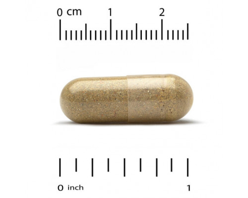 Мужское здоровье Ultamins Men's 50+ Multivitamin with CoQ10, Mushrooms, Enzymes, Veggies & Berries, 60 Veggie Capsules Мужское здоровье Ultamins Men's 50+ Multivitamin with CoQ10, Mushrooms, Enzymes, Veggies & Berries, 60 Veggie Capsules