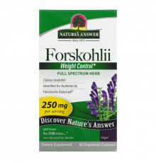 Nature's Answer, Forskohlii, 250 мг, 60 шт., вегетарианские капсулы