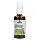 Растительные экстракты и настойки Natural MulleinX Throat Spray, 2 fl oz (60 ml)