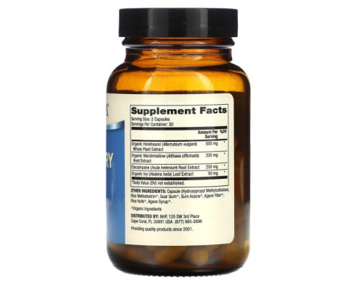 Растительные экстракты и настойки Respiratory Support, 60 Capsules Растительные экстракты и настойки Respiratory Support, 60 Capsules