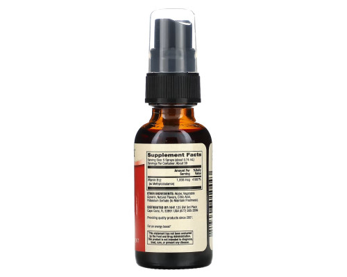 Dr. Mercola, Vitamin B12 Energy Booster, Natural Blackberry Flavor, 0.85 fl oz (25 ml) Dr. Mercola, Vitamin B12 Energy Booster, Natural Blackberry Flavor, 0.85 fl oz (25 ml)