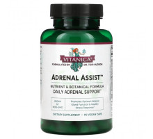 Улучшение памяти и работы мозга Adrenal Assist, Daily Adrenal Support, 90 Vegan Caps