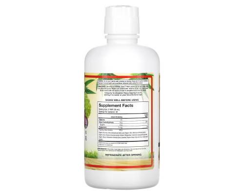 Dynamic Health Laboratories Healthy Blend антиоксидантная добавка 32 жидких унций (946 мл) Dynamic Health Laboratories Healthy Blend антиоксидантная добавка 32 жидких унций (946 мл)