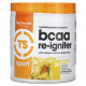 Аминокислоты Top Secret Nutrition, Sport, BCAA Re-Igniter с астаксантином Astapure, ананас и манго, 279 г (9,84 унции)