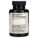 Dragon Herbs Cordyceps 500 mg 100 Veggie Caps