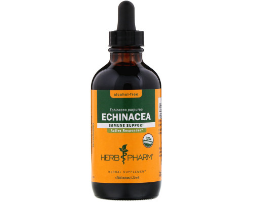 Herb Pharm, Эхинацея, без спирта, 4 жидких унции (120 мл) Herb Pharm, Эхинацея, без спирта, 4 жидких унции (120 мл)