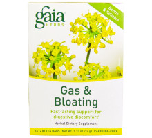 Gaia Herbs Gas & Bloating RapidRelief Herbal Tea Caffeine-Free 20 Tea Bags 1.41 oz (40 g)