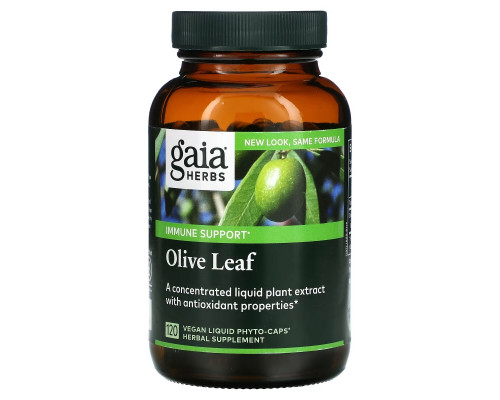 Gaia Herbs, Лист оливы, 120 жидких фито-капсул на растительной основе Gaia Herbs, Лист оливы, 120 жидких фито-капсул на растительной основе