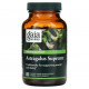 БАДы для укрепления иммунитета Gaia Herbs, Astragalus Supreme, 60 веганских фито-капсул с жидкостью