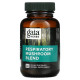 Gaia Herbs, Смесь респираторных грибов, 40 веганских капсул