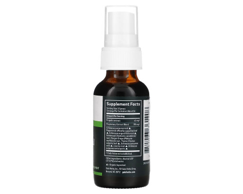 Gaia Herbs, Echinacea Goldenseal Propolis, Throat Spray, 1 fl oz (30 ml) Gaia Herbs, Echinacea Goldenseal Propolis, Throat Spray, 1 fl oz (30 ml)