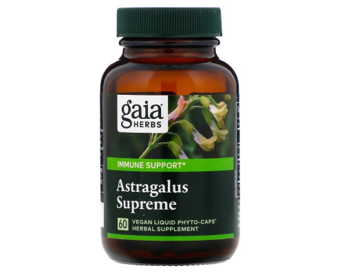 Gaia Herbs DailyWellness астрагал 60 вегетарианских жидких фито-капсул Gaia Herbs DailyWellness астрагал 60 вегетарианских жидких фито-капсул
