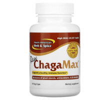 North American Herb & Spice Co., Сырой ChagaMax, 90 растительных капсул