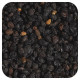 Фрукты и ягоды Starwest Botanicals, Органическая бузина, 453,6 г (1 фунт)