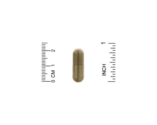 Organic India, Tulsi-Holy Basil, 180 Veg Caps Organic India, Tulsi-Holy Basil, 180 Veg Caps