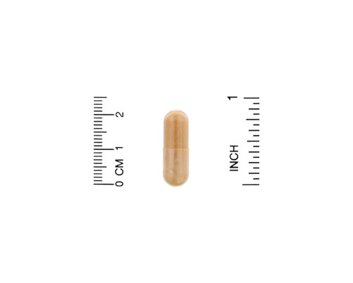 Organic India, Cinnamon, 90 Veg Caps Organic India, Cinnamon, 90 Veg Caps