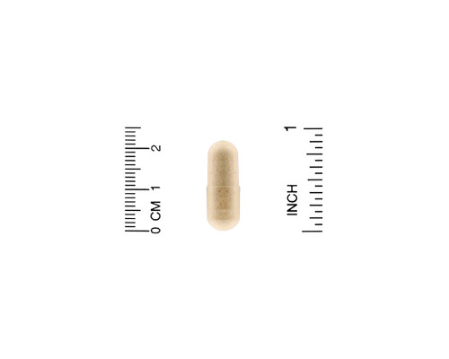 Organic India Trikatu Digestive & Metabolic Support 90 Veggie Caps Organic India Trikatu Digestive & Metabolic Support 90 Veggie Caps