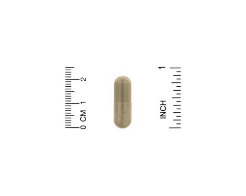 Organic India, Peaceful Sleep, 90 Vegetarian Caps Organic India, Peaceful Sleep, 90 Vegetarian Caps