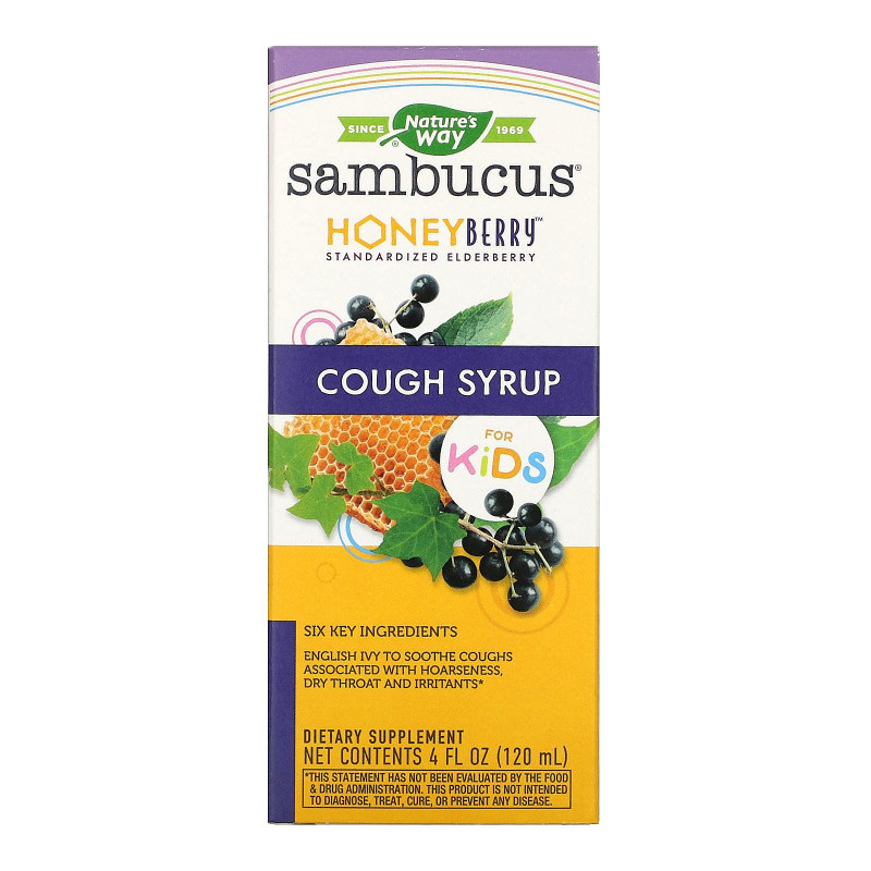 Nature's Way, Sambucus Kids HoneyBerry Cough Syrup, 4 fl oz