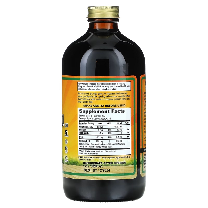 Dynamic Health, Liquid Chlorophyll, Natural Spearmint, 100 mg, 16 fl oz (473 ml)