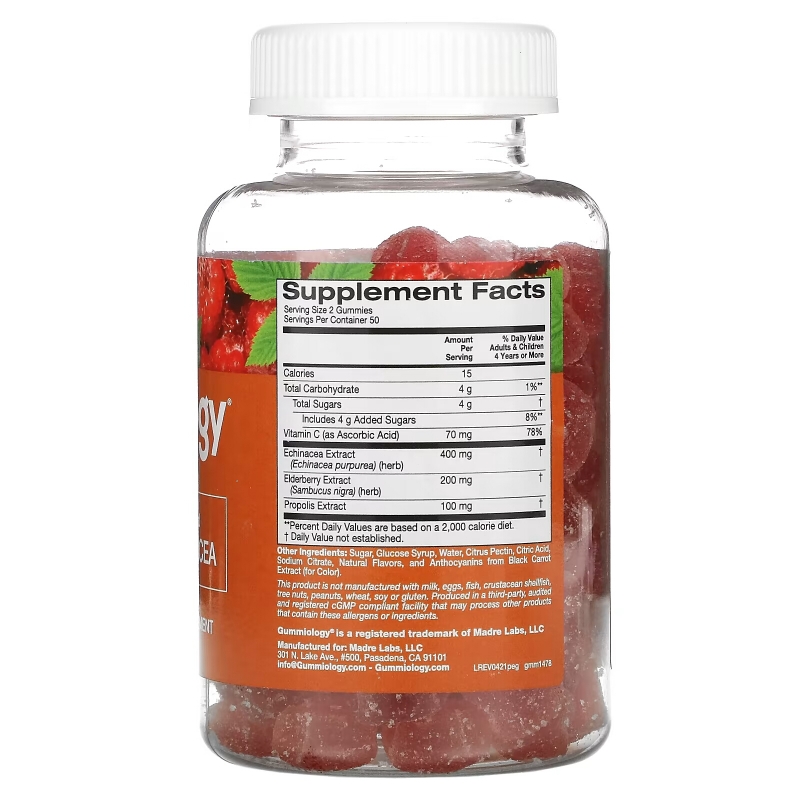 Gummiology, Adult Propolis & Echinacea Gummies, Natural Raspberry Flavor, 100 Vegetarian Gummies