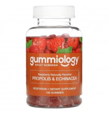 Gummiology, Adult Propolis & Echinacea Gummies, Natural Raspberry Flavor, 100 Vegetarian Gummies