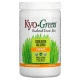 Kyolic, Kyo-Green, сухая смесь для напитка, 10 унций (283 г)