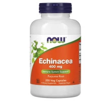 Now Foods, Эхинацея, 400 мг, 250 растительных капсул