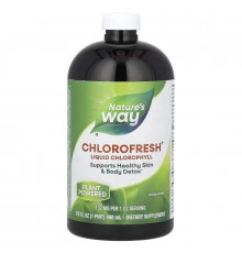 Nature's Way Chlorofresh Жидкий хлорофилл c натуральным вкусом 16 жидких унций (473,2 мл)